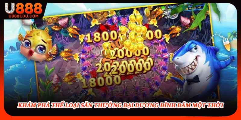 Khám phá thể loại săn thưởng đại dương đình đám một thời