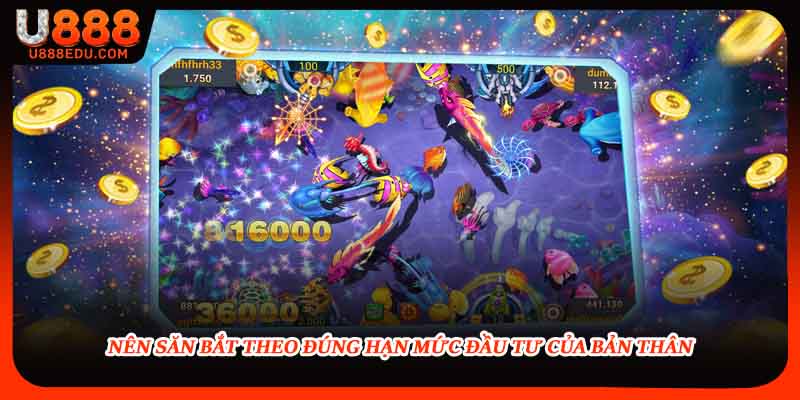 Nên săn bắt theo đúng hạn mức đầu tư của bản thân