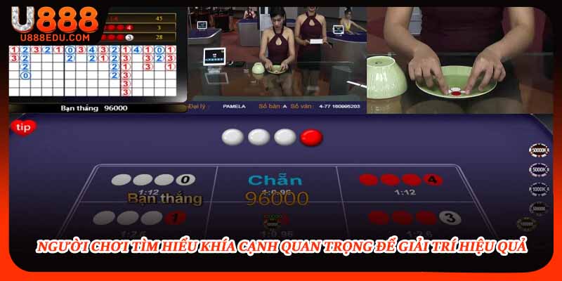 Người chơi tìm hiểu khía cạnh quan trọng để giải trí hiệu quả