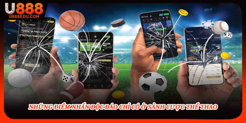 Những điểm nhấn độc đáo chỉ có ở sảnh cược thể thao