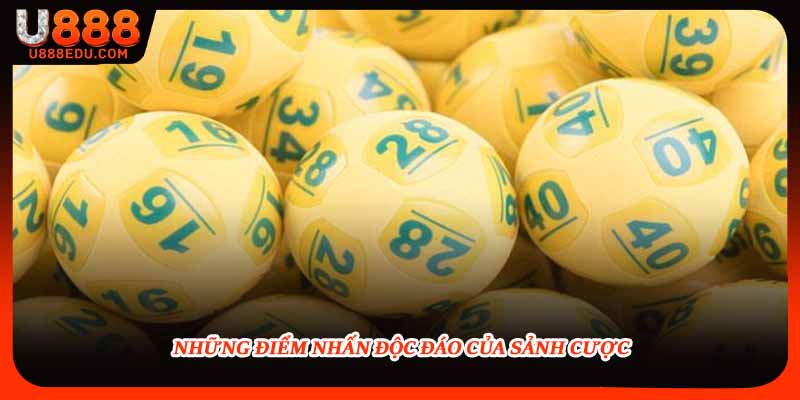 Những điểm nhấn độc đáo của sảnh cược