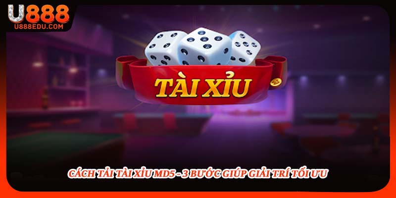 Cách Tải Tài Xỉu Md5 - 3 Bước Giúp Giải Trí Tối Ưu